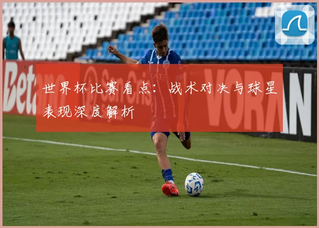 世界杯比赛看点:战术对决与球星表现深度解析