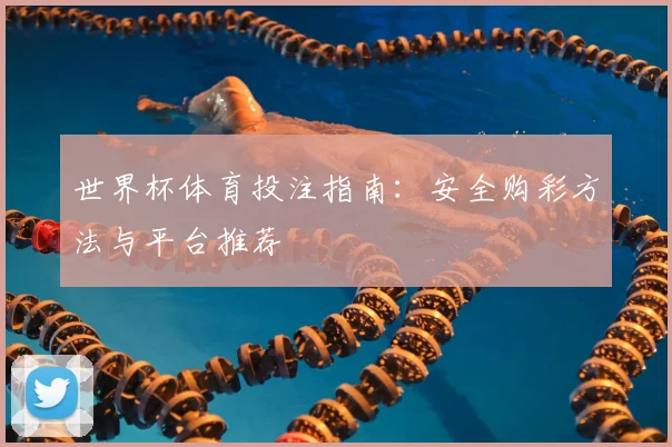世界杯体育投注指南：安全购彩方法与平台推荐