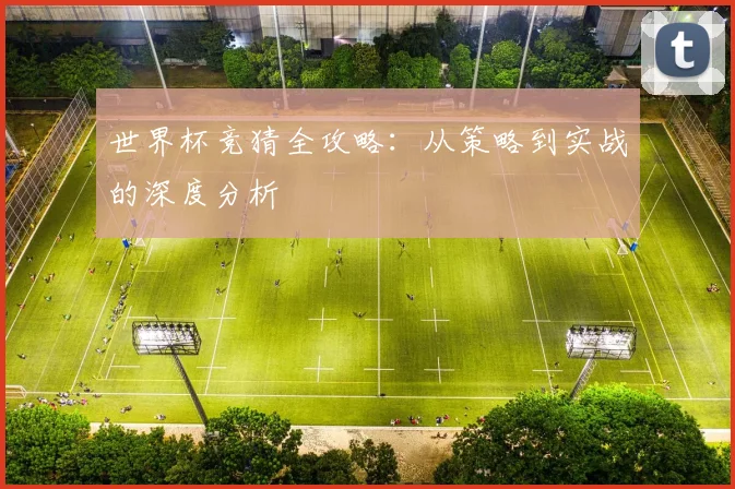 世界杯竞猜全攻略：从策略到实战的深度分析