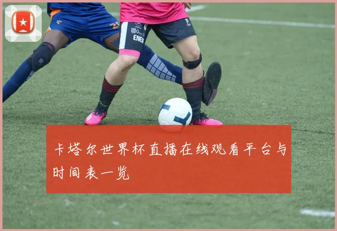 卡塔尔世界杯直播在线观看平台与时间表一览