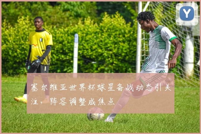 塞尔维亚世界杯球星备战动态引关注，阵容调整成焦点