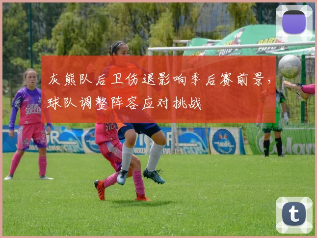 灰熊队后卫伤退影响季后赛前景,球队调整阵容应对挑战