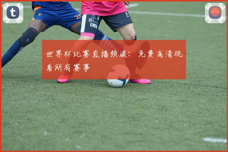 世界杯比赛直播频道:免费高清观看所有赛事