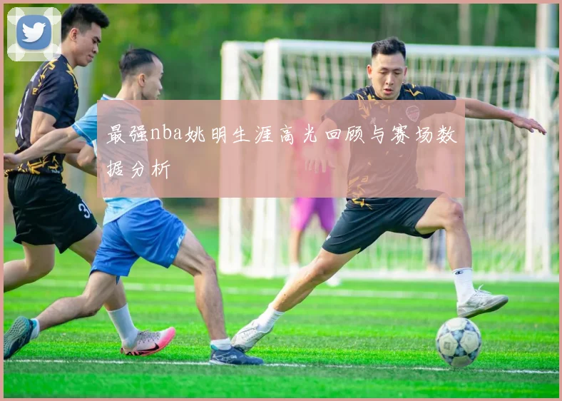 最强nba姚明生涯高光回顾与赛场数据分析