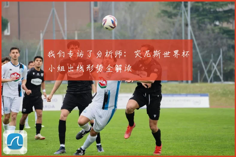 我们专访了分析师:突尼斯世界杯小组出线形势全解读