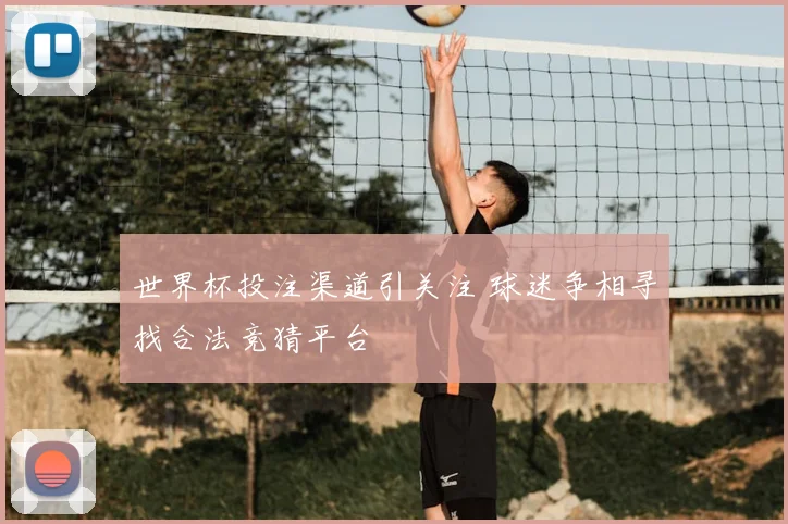 世界杯投注渠道引关注 球迷争相寻找合法竞猜平台