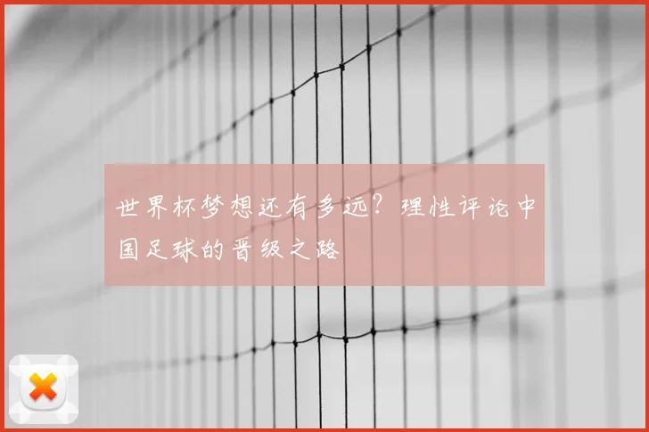 世界杯梦想还有多远？理性评论中国足球的晋级之路
