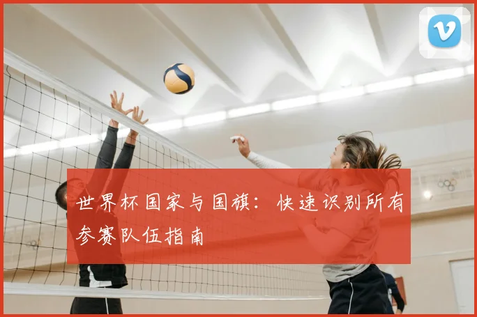 世界杯国家与国旗：快速识别所有参赛队伍指南