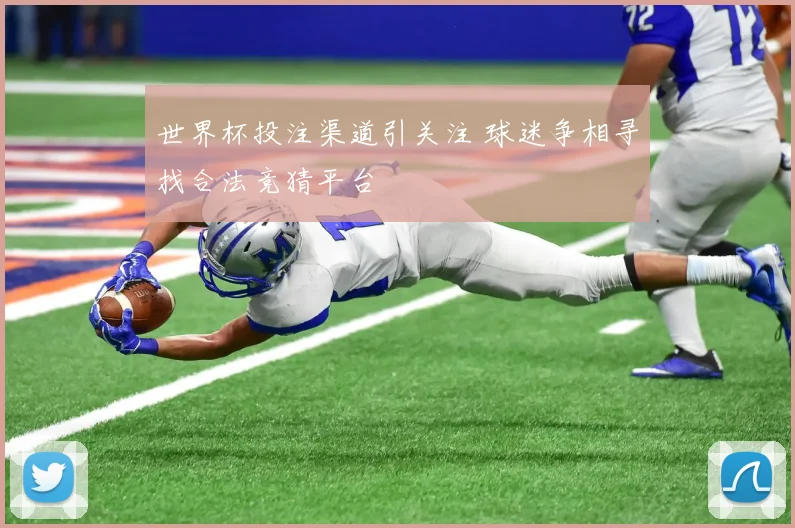 世界杯投注渠道引关注 球迷争相寻找合法竞猜平台