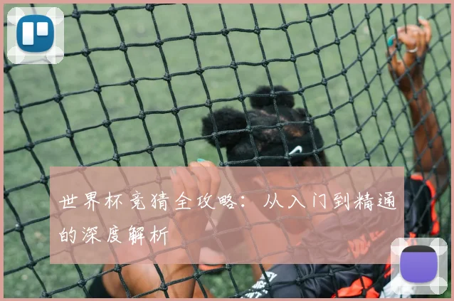 世界杯竞猜全攻略：从入门到精通的深度解析
